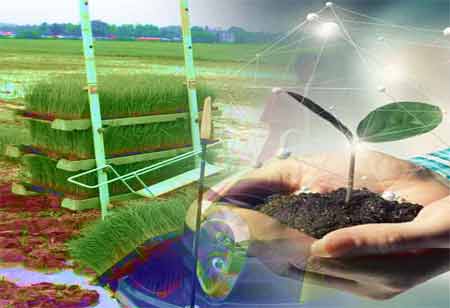 AI Redefining Learning for the Next Generation